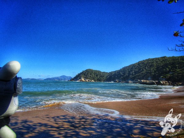 Praia da Tainha | Bombinhas - Santa Catarina - Brasil | FredLee Na Estrada