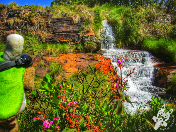 Trilha da Cachoeira Rasga Canga - Parque Nacional da Serra da Canastra | São Roque de Minas - Minas Gerais - Brasil | FredLee Na Estrada