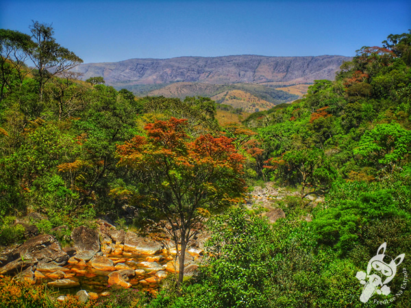 Trilha da Portaria 4 - Parque Nacional da Serra da Canastra | São Roque de Minas - Minas Gerais - Brasil | FredLee Na Estrada