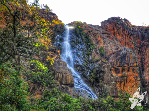 RPPN – Reserva Particular do Patrimônio Natural da Cachoeira do Cerradão | São Roque de Minas - Minas Gerais - Brasil | FredLee Na Estrada