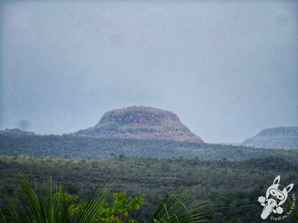 Santuário Ecológico Pedra Caída | Carolina - Maranhão - Brasil | FredLee Na Estrada