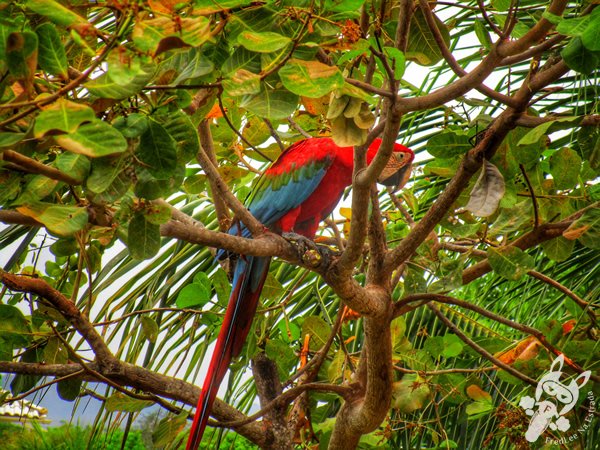 Santuário Ecológico Pedra Caída | Carolina - Maranhão - Brasil | FredLee Na Estrada