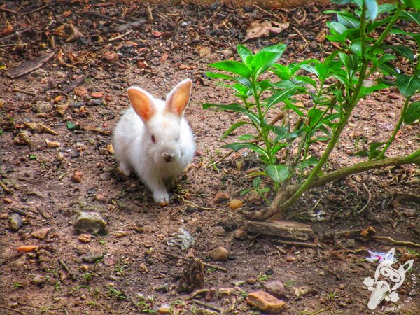 Santuário Ecológico Pedra Caída | Carolina - Maranhão - Brasil | FredLee Na Estrada