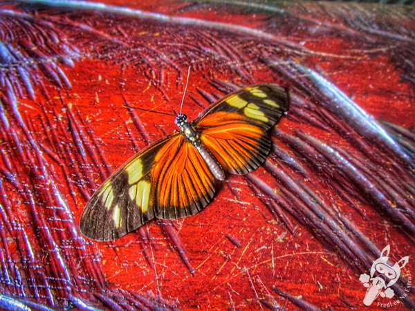 Santuário Ecológico Pedra Caída | Carolina - Maranhão - Brasil | FredLee Na Estrada