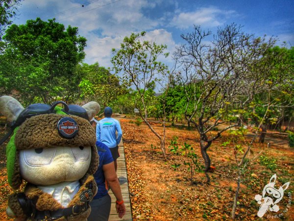 Santuário Ecológico Pedra Caída | Carolina - Maranhão - Brasil | FredLee Na Estrada