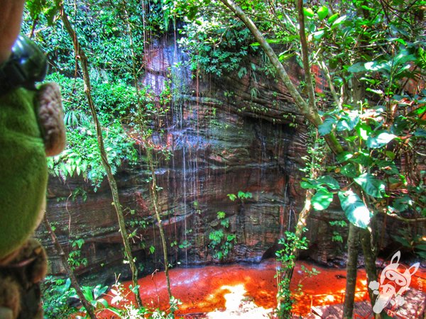 Santuário Ecológico Pedra Caída | Carolina - Maranhão - Brasil | FredLee Na Estrada