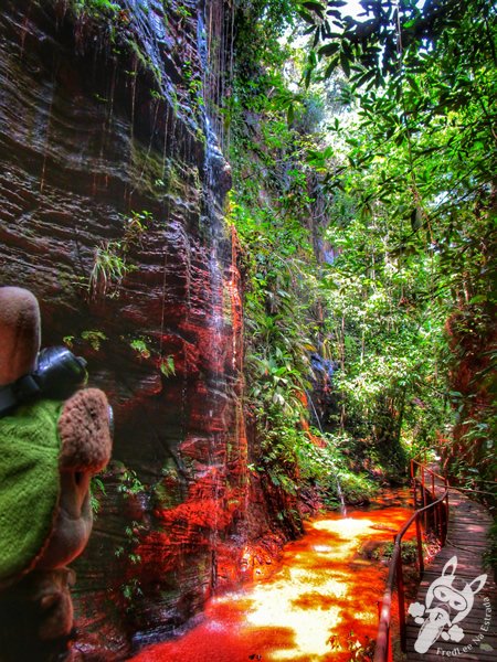 Santuário Ecológico Pedra Caída | Carolina - Maranhão - Brasil | FredLee Na Estrada