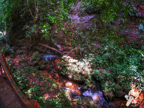 Santuário Ecológico Pedra Caída | Carolina - Maranhão - Brasil | FredLee Na Estrada