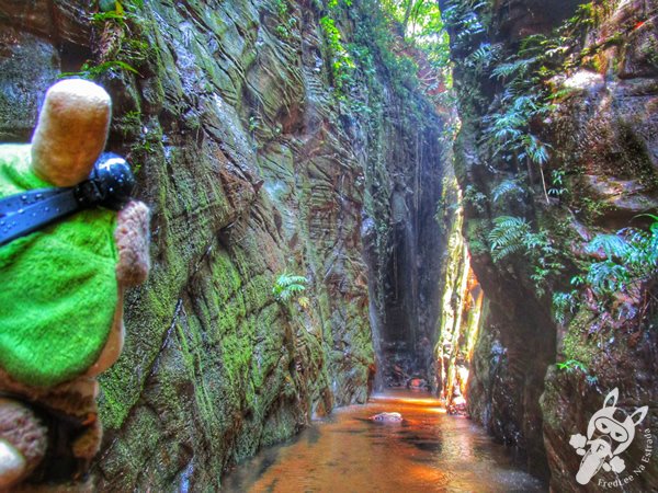 Santuário Ecológico Pedra Caída | Carolina - Maranhão - Brasil | FredLee Na Estrada