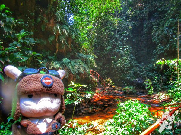 Santuário Ecológico Pedra Caída | Carolina - Maranhão - Brasil | FredLee Na Estrada