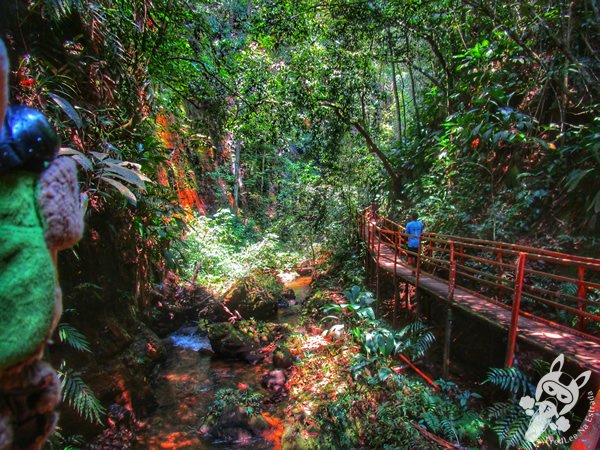 Santuário Ecológico Pedra Caída | Carolina - Maranhão - Brasil | FredLee Na Estrada