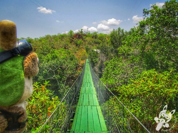 Santuário Ecológico Pedra Caída | Carolina - Maranhão - Brasil | FredLee Na Estrada