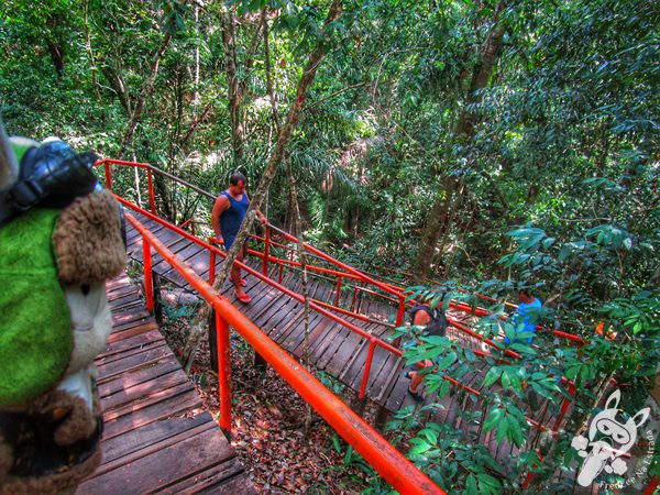 Santuário Ecológico Pedra Caída | Carolina - Maranhão - Brasil | FredLee Na Estrada