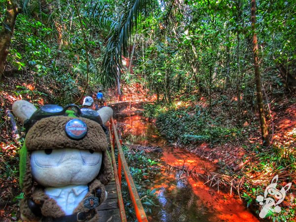 Santuário Ecológico Pedra Caída | Carolina - Maranhão - Brasil | FredLee Na Estrada