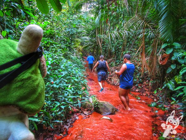 Santuário Ecológico Pedra Caída | Carolina - Maranhão - Brasil | FredLee Na Estrada