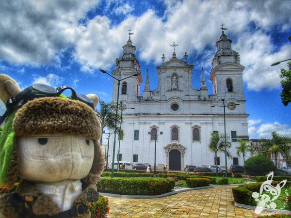 Catedral Metropolitana de Belém | Belém - Pará - Brasil | FredLee Na Estrada