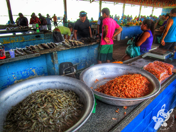 Mercado do Peixe | Santarém - Pará - Brasil | FredLee Na Estrada