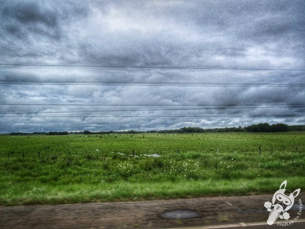 Ruta Nacional 1 | FredLee Na Estrada