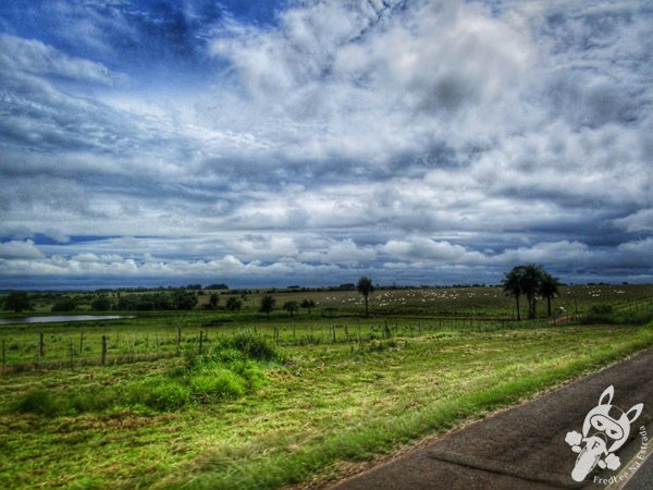 Ruta Nacional 1 | FredLee Na Estrada