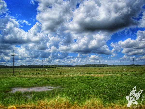 Ruta Nacional 2 | Paraguai | FredLee Na Estrada