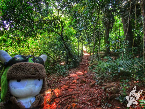 Parque Aventura Monday - Saltos del Monday | Presidente Franco - Alto Paraná - Paraguai | FredLee Na Estrada