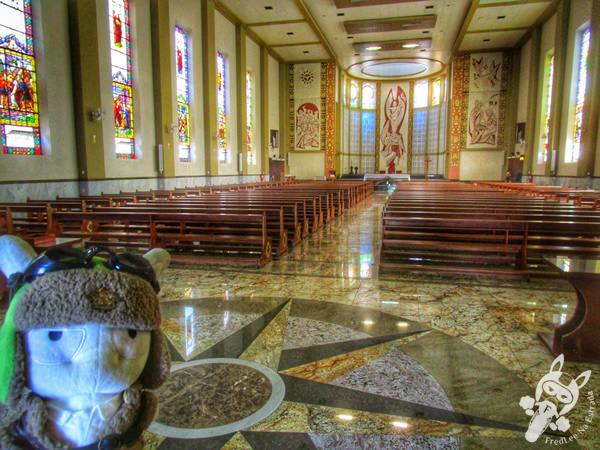 Catedral Nossa Senhora Aparecida | Passo Fundo - Rio Grande do Sul - Brasil | FredLee Na Estrada