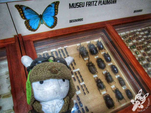Museu Entomológico Fritz Plaumann | Seara - Santa Catarina - Brasil | FredLee Na Estrada