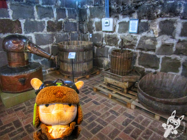 Museu do Vinho Primo Slomp | Cooperativa Vitivinícola Forqueta - Vale Trentino | Caxias do Sul - Rio Grande do Sul - Brasil | FredLee Na Estrada 