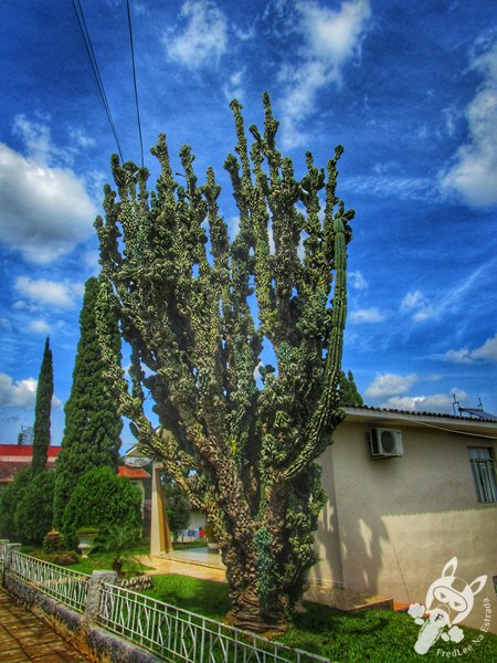 Xanxerê - Santa Catarina - Brasil | FredLee Na Estrada