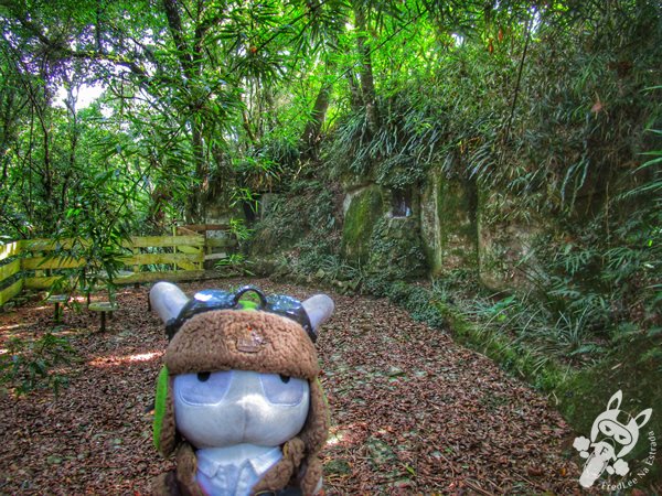 Trilha do Parque das Quedas | Abelardo Luz - Santa Catarina - Brasil | FredLee Na Estrada