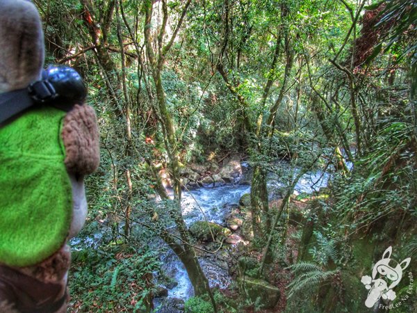 Trilha do Parque das Quedas | Abelardo Luz - Santa Catarina - Brasil | FredLee Na Estrada