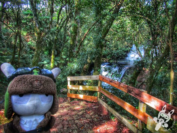 Trilha do Parque das Quedas | Abelardo Luz - Santa Catarina - Brasil | FredLee Na Estrada