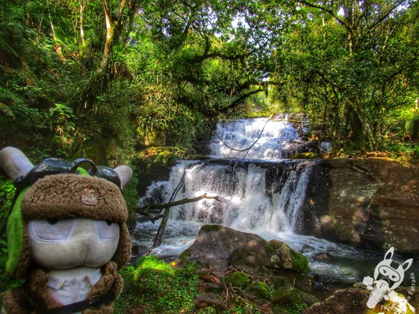 Trilha do Parque das Quedas | Abelardo Luz - Santa Catarina - Brasil | FredLee Na Estrada