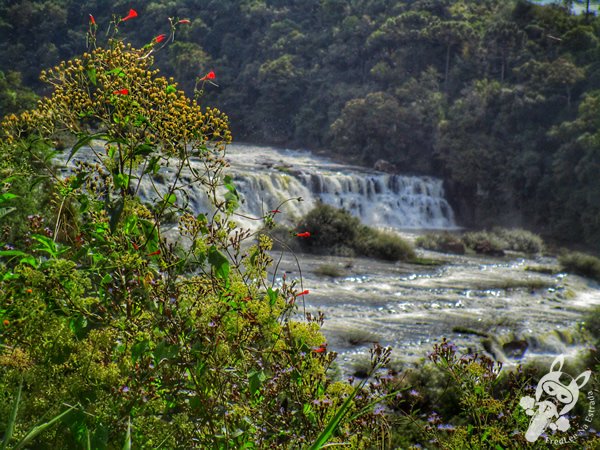 Trilha do Parque das Quedas | Abelardo Luz - Santa Catarina - Brasil | FredLee Na Estrada