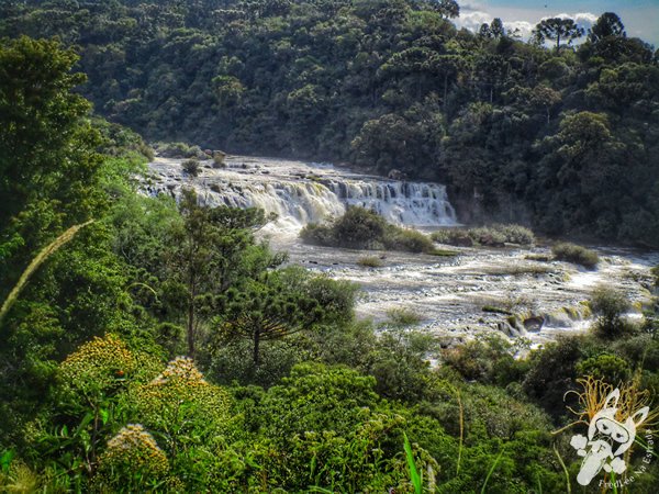 Trilha do Parque das Quedas | Abelardo Luz - Santa Catarina - Brasil | FredLee Na Estrada