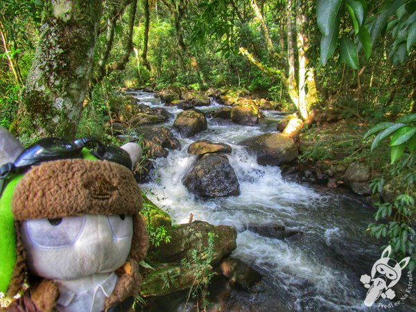 Trilha do Parque das Quedas | Abelardo Luz - Santa Catarina - Brasil | FredLee Na Estrada