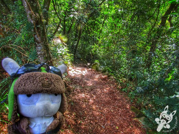 Trilha do Parque das Quedas | Abelardo Luz - Santa Catarina - Brasil | FredLee Na Estrada