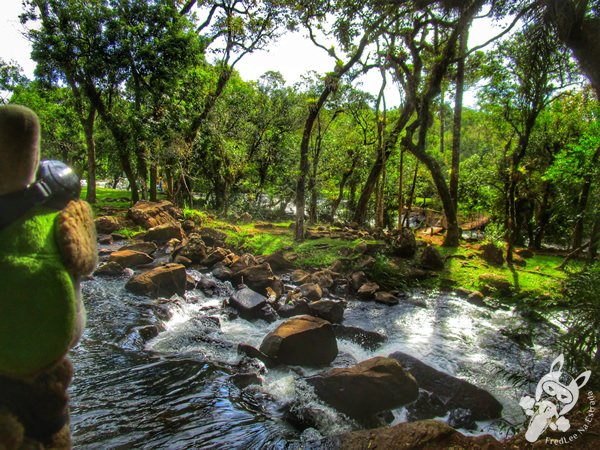 Trilha do Parque das Quedas | Abelardo Luz - Santa Catarina - Brasil | FredLee Na Estrada