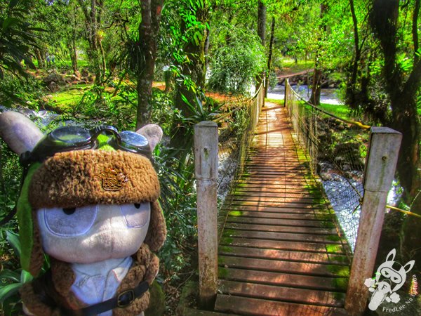 Trilha do Parque das Quedas | Abelardo Luz - Santa Catarina - Brasil | FredLee Na Estrada