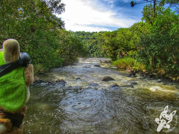 Trilha do Parque das Quedas | Abelardo Luz - Santa Catarina - Brasil | FredLee Na Estrada