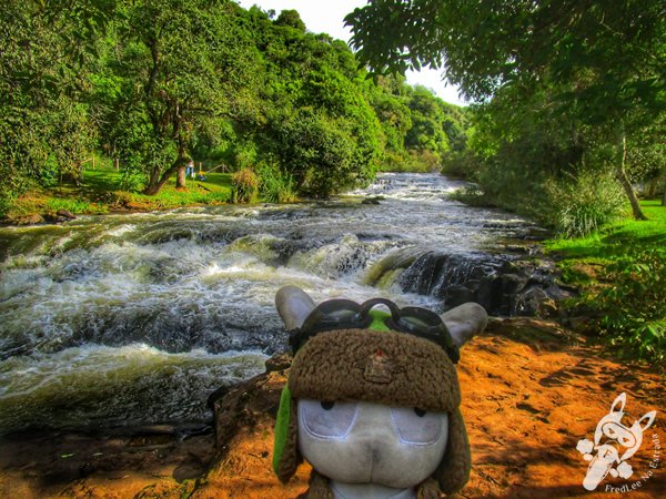 Trilha do Parque das Quedas | Abelardo Luz - Santa Catarina - Brasil | FredLee Na Estrada