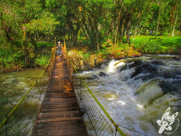 Trilha do Parque das Quedas | Abelardo Luz - Santa Catarina - Brasil | FredLee Na Estrada