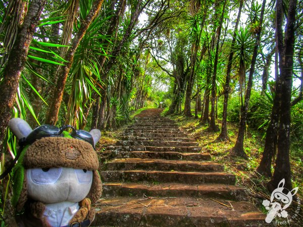 Trilha do Parque das Quedas | Abelardo Luz - Santa Catarina - Brasil | FredLee Na Estrada