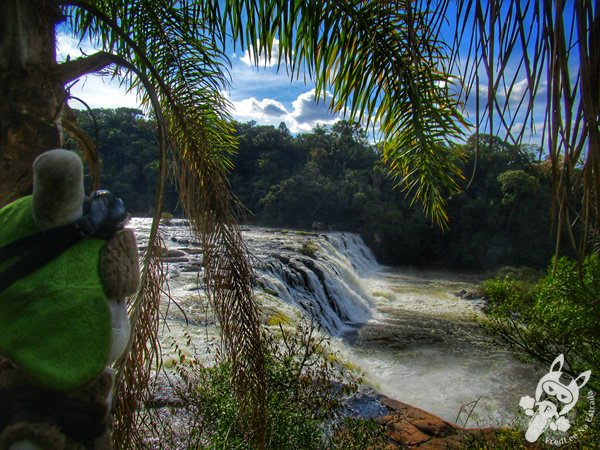 Trilha do Parque das Quedas | Abelardo Luz - Santa Catarina - Brasil | FredLee Na Estrada