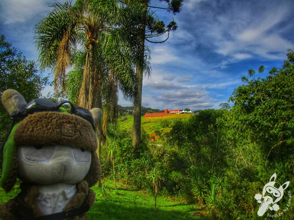 Trilha do Parque das Quedas | Abelardo Luz - Santa Catarina - Brasil | FredLee Na Estrada