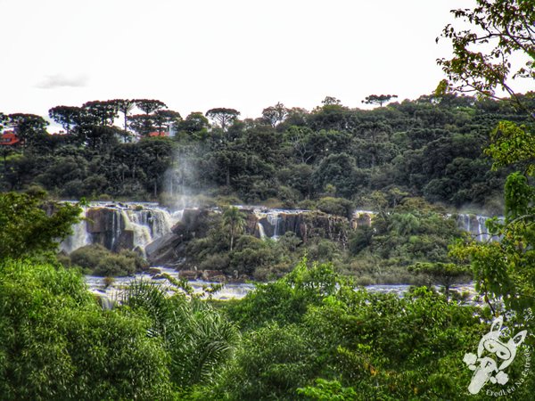 Trilha do Parque das Quedas | Abelardo Luz - Santa Catarina - Brasil | FredLee Na Estrada