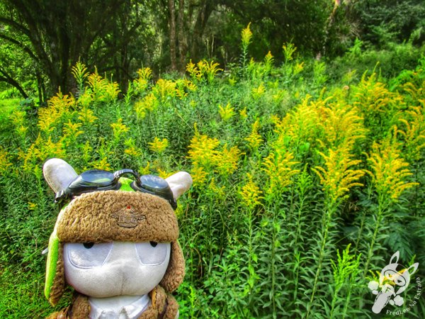 Parque das Quedas | Abelardo Luz - Santa Catarina - Brasil | FredLee Na Estrada