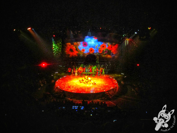 Espetáculo OVO - Cirque du Soleil - Ginásio do Ibirapuera | São Paulo - São Paulo - Brasil | FredLee Na Estrada