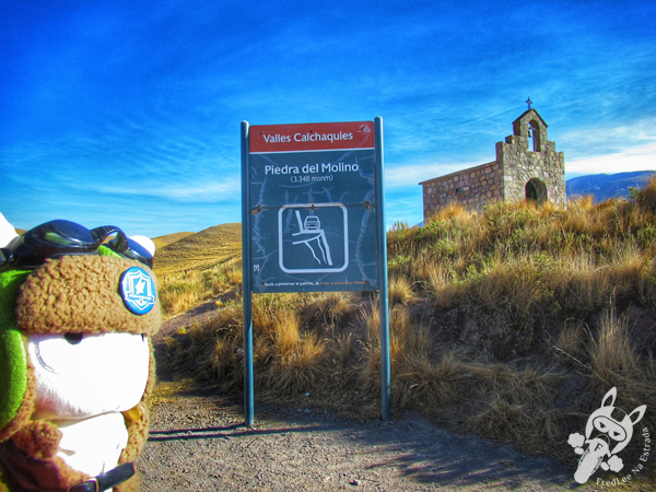Piedra del Molino - Valles Calchaquíes - Ruta Provincial 33 | Salta - Argentina | FredLee Na Estrada