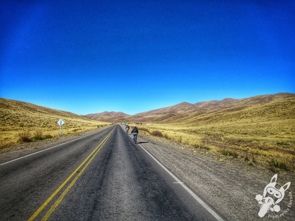 Ruta Provincial 33 - Valles Calchaquíes | Salta - Argentina | FredLee Na Estrada